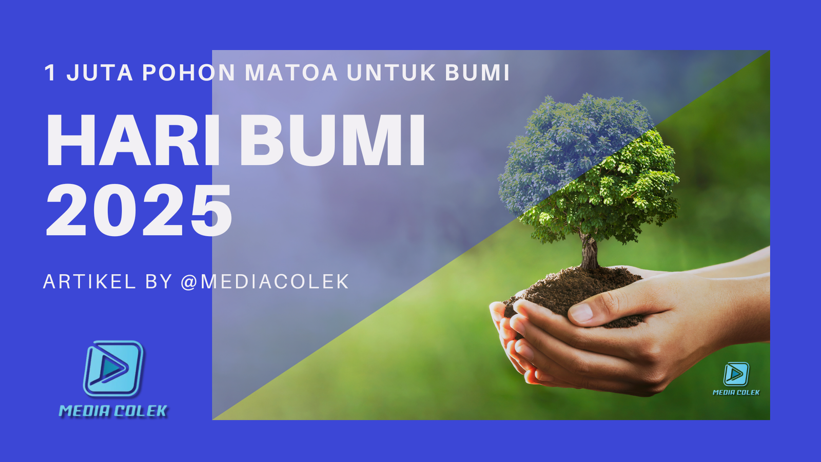 Ilustrasi tangan memegang pohon kecil di tanah, simbol aksi tanam 1 juta pohon matoa dalam rangka Hari Bumi 2025